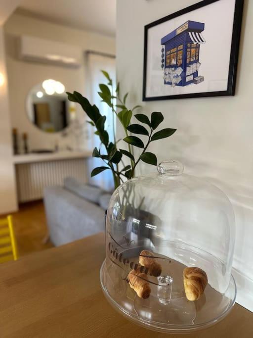 Athenian Coastal Urban Living Apartment