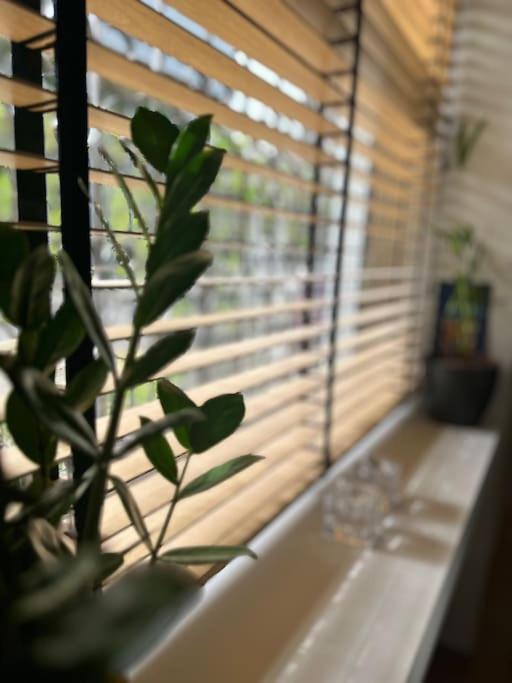 Athenian Coastal Urban Living 公寓 雅典