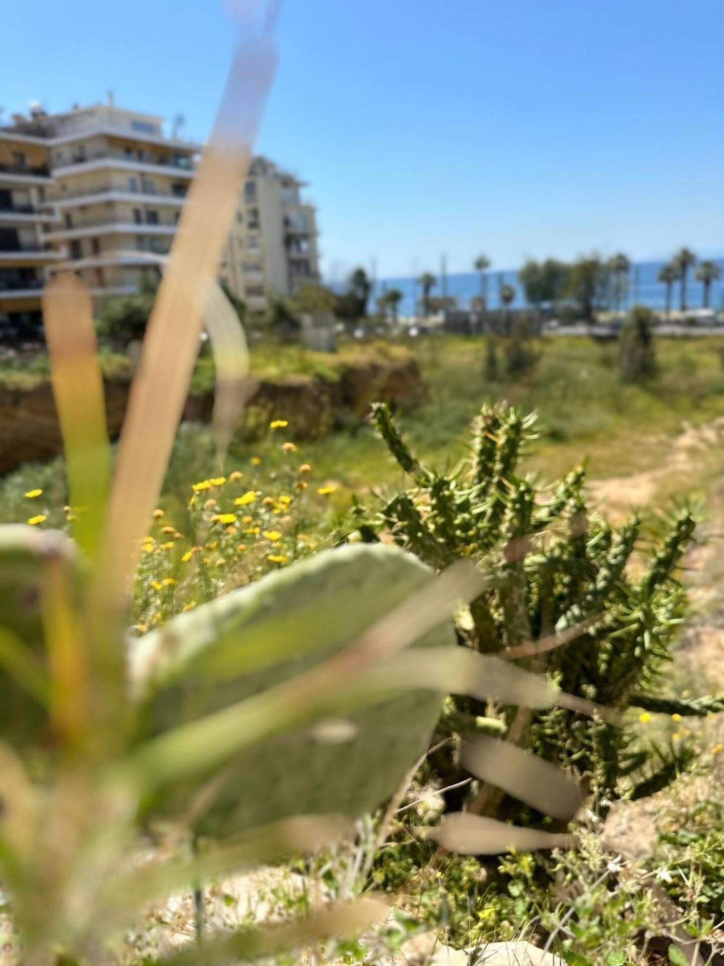 公寓 Athenian Coastal Urban Living